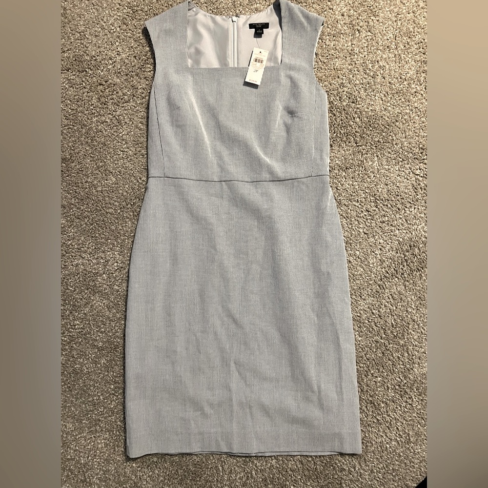 Ann Taylor dress NWT